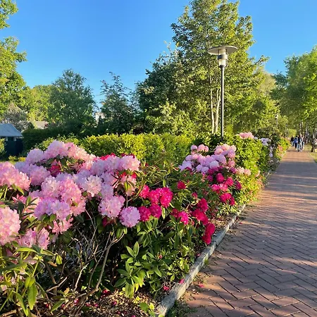 Διαμέρισμα Lotz Mit Drei In Auf Ruegen *