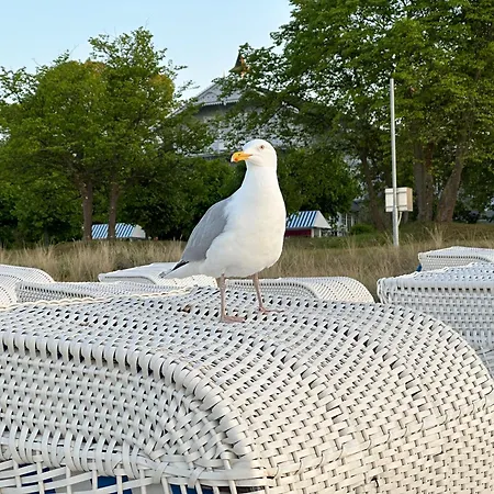 Maximus - Gartenidylle&morgensonne Auf Rügen